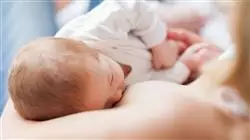 ##IMAGE##