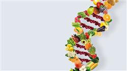 maestria online nutricion genomica precision