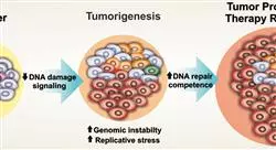 especializacion online nutrigenómica metabolómica y epigenética