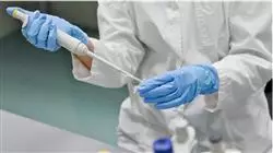 ##IMAGE##
