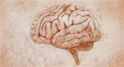 curso online neuroanatomía y trastornos mentales