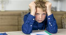 formacion proceso de evaluación en el psicodiagnóstico pericial ii