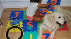 master intervención terapéutica asistida por animales