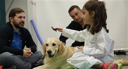 especializacion online intervención asistida por animales en terapia ocupacional