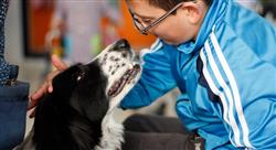 experto intervención asistida por animales en terapia ocupacional