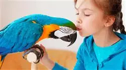 ##IMAGE##