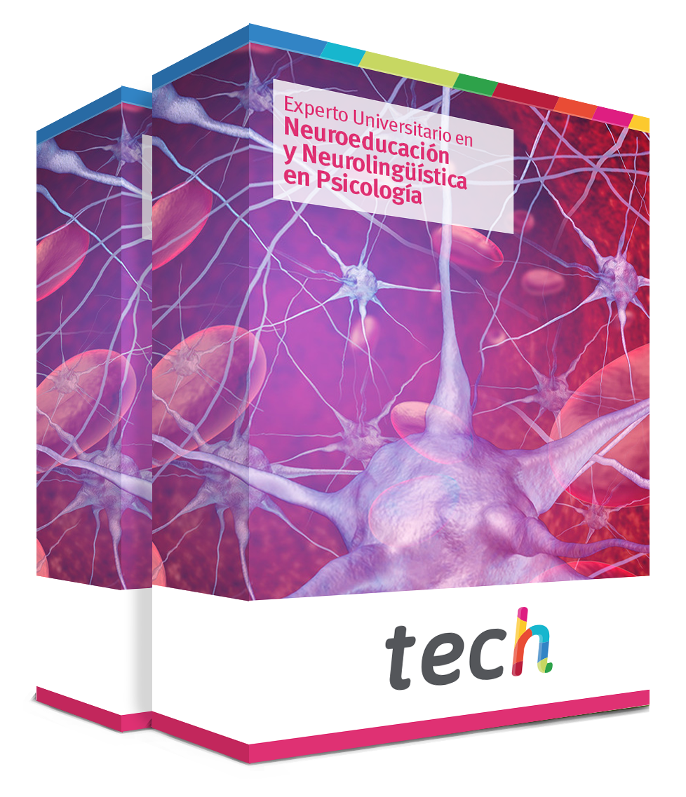 especializacion neuroeducacion neurolinguistica psicologia caja