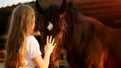 ##IMAGE##