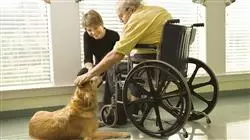##IMAGE##