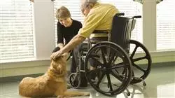 ##IMAGE##