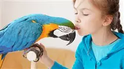 ##IMAGE##