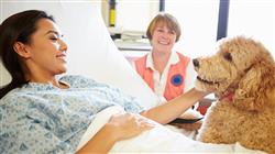 especializacion online programas intervencion asistida animales poblacion