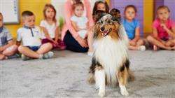 especializacion programas intervencion asistida animales poblacion