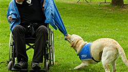curso intervencion asistida caninos