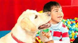 curso acreditado psicologia aprendizaje terapias asistidas animales