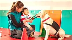 curso psicologia aprendizaje terapias asistidas animales