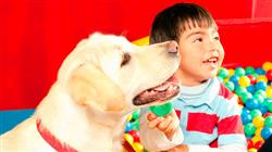 diplomado online psicologia aprendizaje terapias asistidas animales