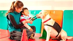 diplomado psicologia aprendizaje terapias asistidas animales