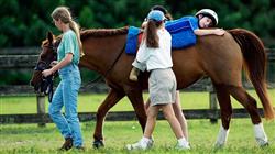 curso intervencion asistida equinos