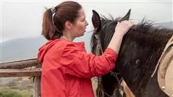 diplomado online intervencion asistida equinos