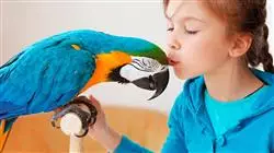 ##IMAGE##