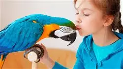 ##IMAGE##