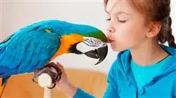 ##IMAGE##