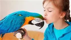 ##IMAGE##