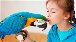 ##IMAGE##
