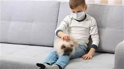 ##IMAGE##