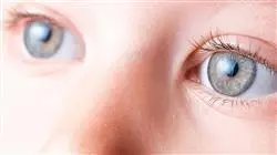 ##IMAGE##