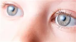 ##IMAGE##