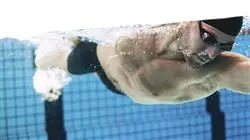 ##IMAGE##