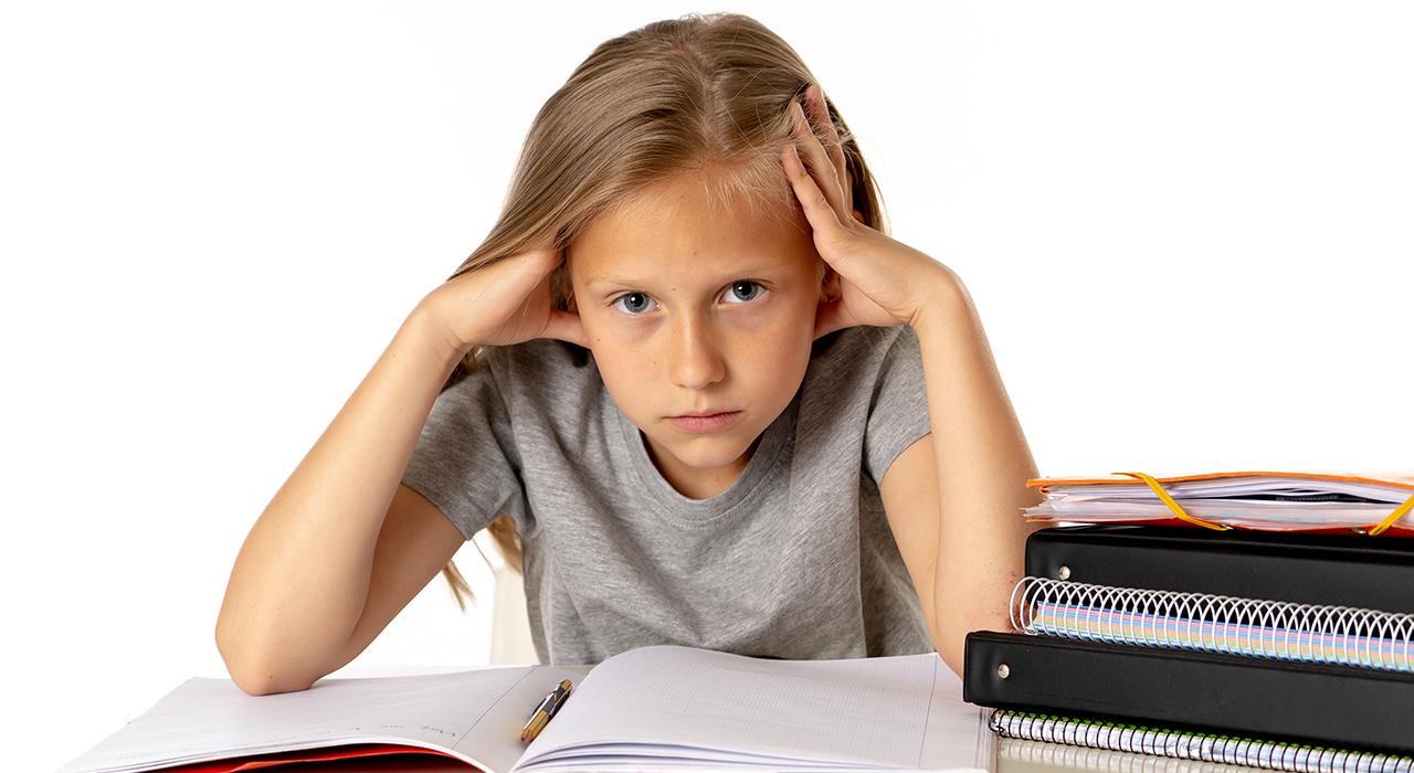 Formación en Investigación en Neuropsicología de la Educación