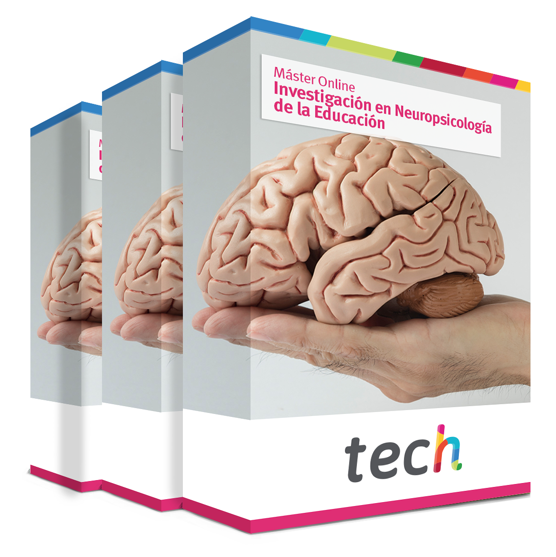 maestria investigacion neuropsicologia educacion caja