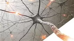 ##IMAGE##