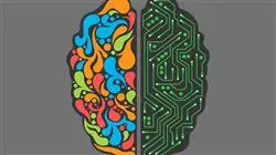 ##IMAGE##