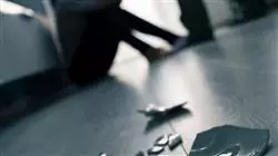 ##IMAGE##