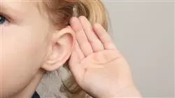 ##IMAGE##