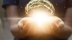##IMAGE##