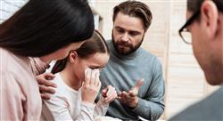 formacion modos de intervención psicológica en la terapia de familia