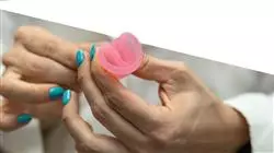 ##IMAGE##