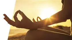 ##IMAGE##