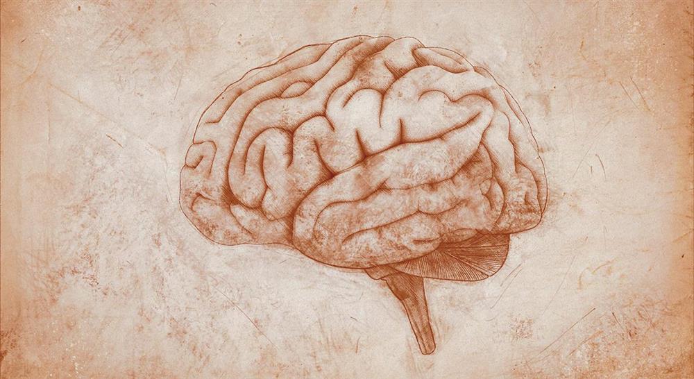 posgrado neuropsicología clínica