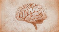 posgrado neuropsicología clínica