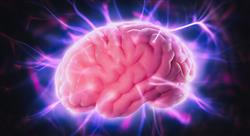 experto neurologia conducta Tech Universidad