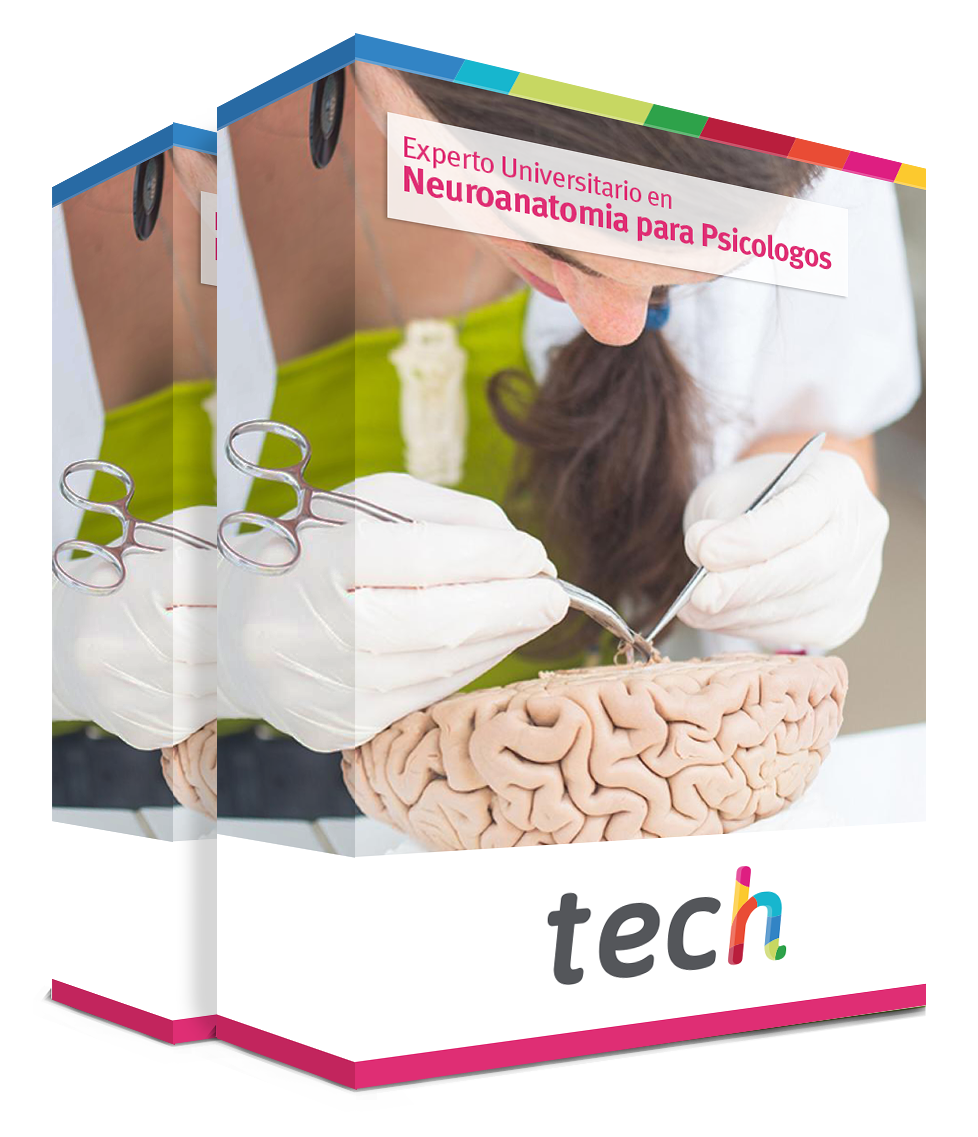 especializacion neuroanatomia psicologos caja