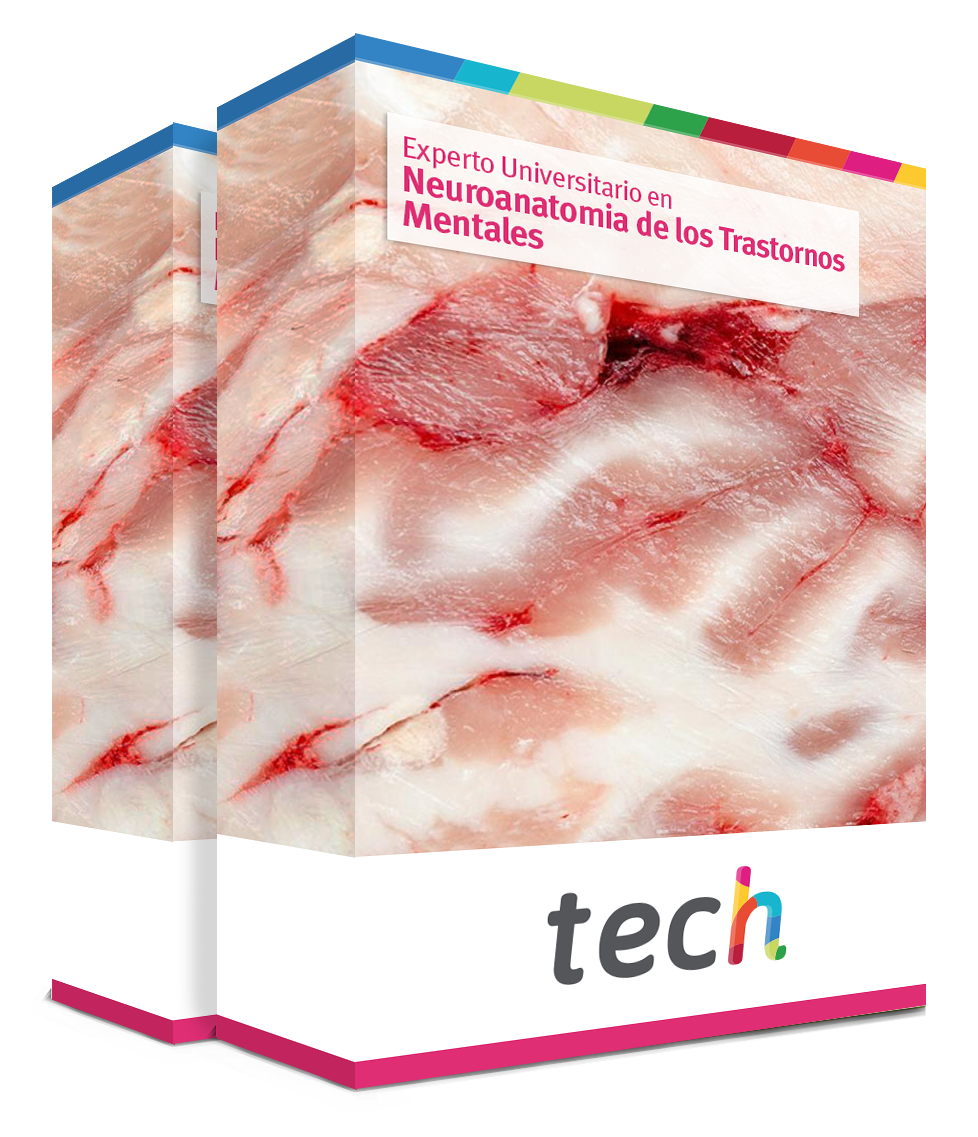 especializacion neuroanatomia trastornos mentales caja