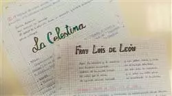posgrado formacion disciplinar lengua castellana literatura educacion secundari