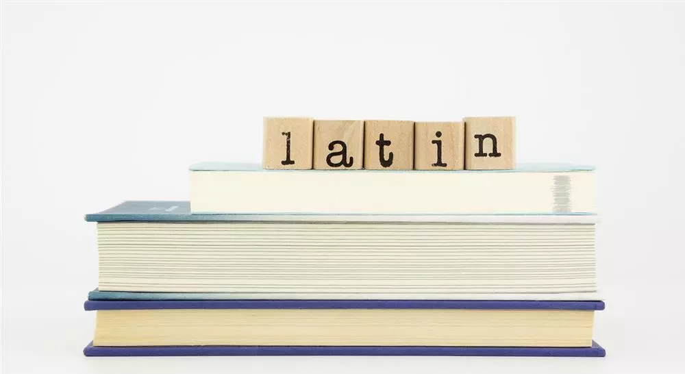 curso diseño curricular de latín y lengua clásica en educación secundaria